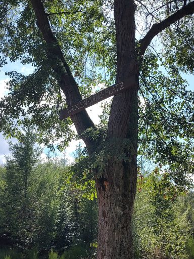 Hexentanzplatz Baum mit Schild "Hexentanzplatz"