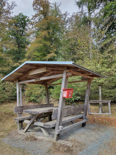 Picknickplatz Ludwigsbuche Picknickplatz Ludwigsbuche